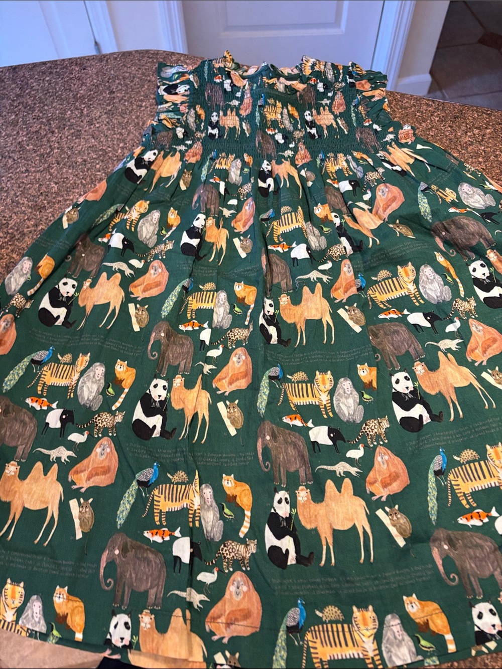 Pink Chicken Green Smock Animal Print Dress-8Y-NWOT